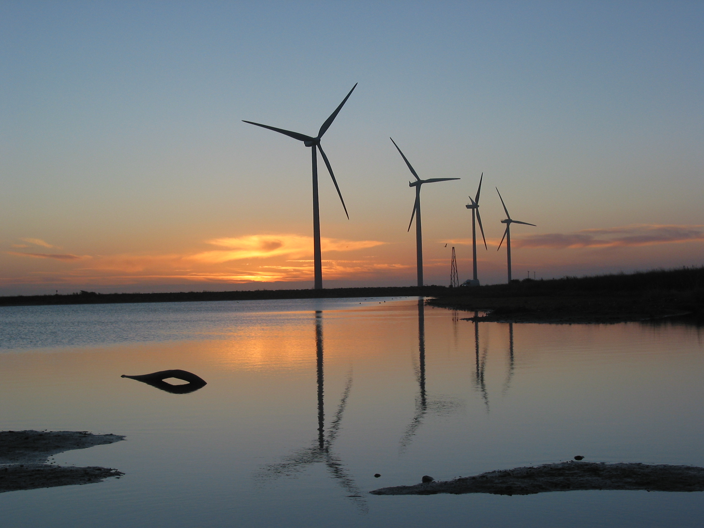 Vindmøller spejles i vandet i morgenlyset.